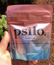 Psilo Delic Gummies Cube - Raspberry